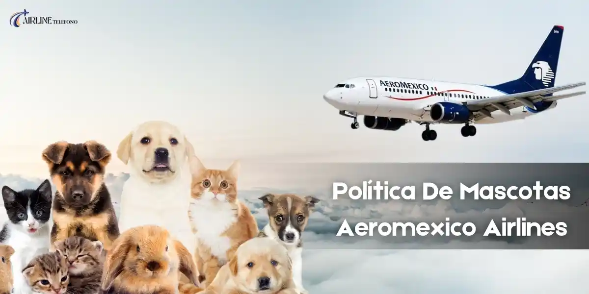 Política de mascotas Aeromexico Airlines